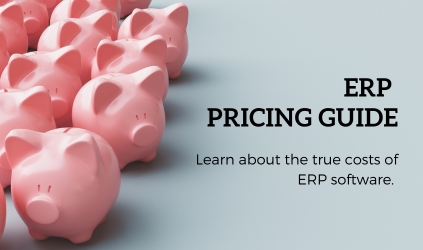 ERP Pricing Guide